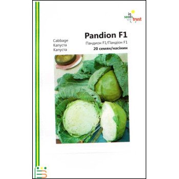 Капуста білоголова Пандіон F1 /20 насінин/ *Імперія Насіння*