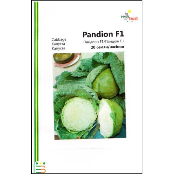 Насіння капусти білокачанної Пандіон F1 /20 насінин/ *Імперія Насіння*