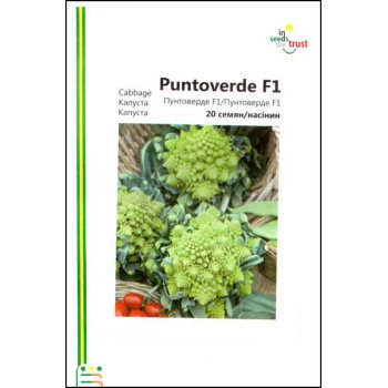 Капуста цвітна Пунтоверде F1 /20 насінин/ *Імперія Насіння*