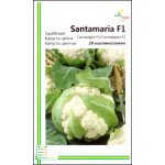 Капуста цвітна Сантамарія F1 /20 насінин/ *Імперія Насіння*