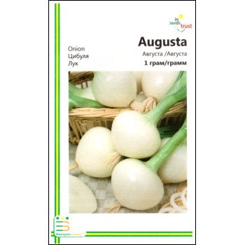 Цибуля Августа /1 г/ *Імперія Насіння*