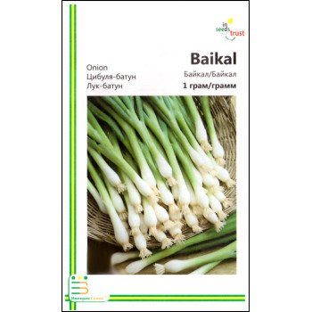 Цибуля батун Байкал /1 г/ *Імперія Насіння*