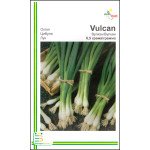Лук на перо Вулкан /0,5 г/ *Империя Семян*