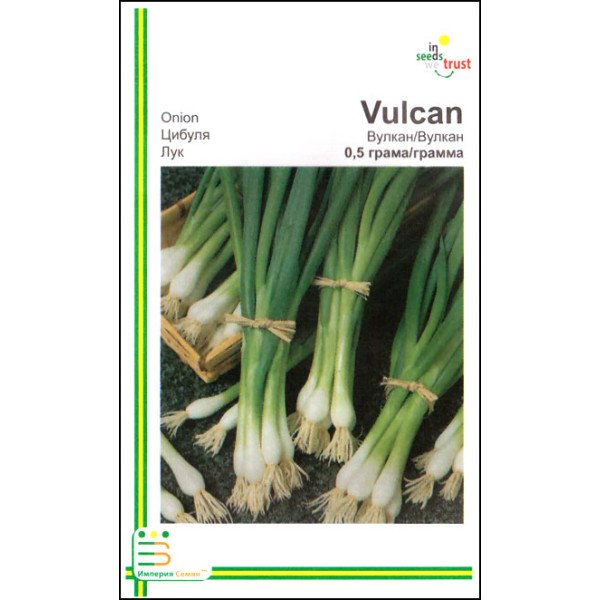 Насіння цибулі на перо Вулкан /0,5 г/ *Імперія Насіння*