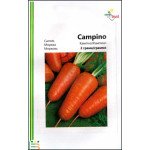 Морковь Кампино /2 г/ *Империя Семян*