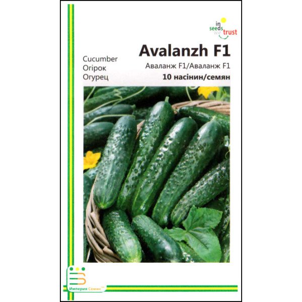 Насіння огірка Аваланж F1 /10 насінин/ *Імперія Насіння*