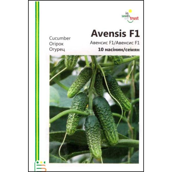 Семена огурца Авенсис F1 /10 семян/ *Империя Семян*