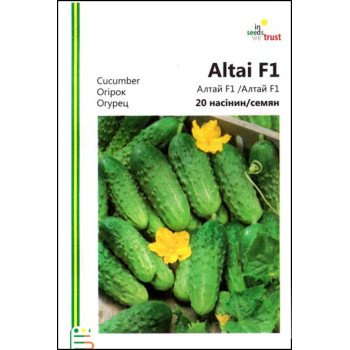 Огірок Алтай F1 /20 насінин/ *Імперія Насіння*