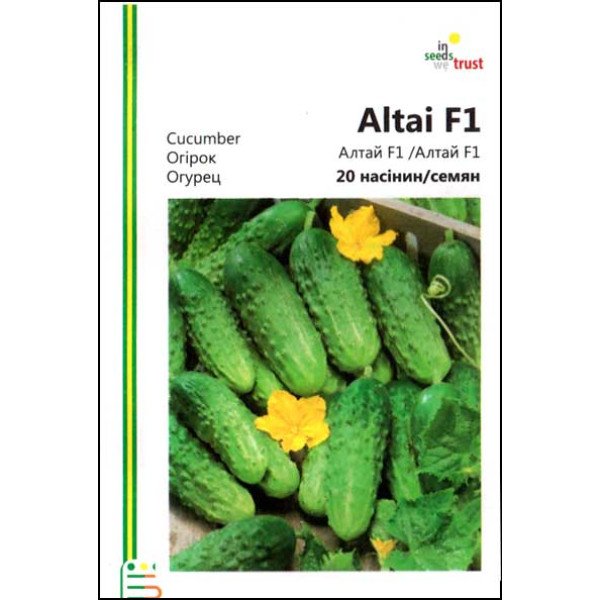 Насіння огірка Алтай F1 /20 насінин/ *Імперія Насіння*