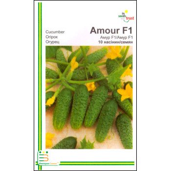 Огірок Амур F1 /10 насінин/ *Імперія Насіння*