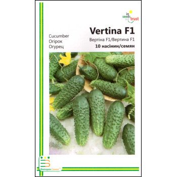 Огірок Вертина F1 /10 насінин/ *Імперія Насіння*
