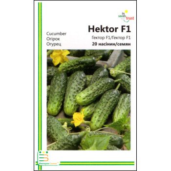 Огірок Гектор F1 /20 насінин/ *Імперія Насіння*
