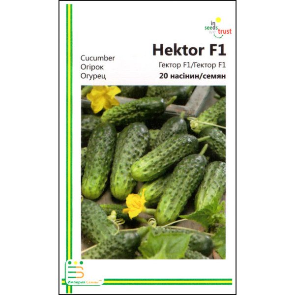 Насіння огірка Гектор F1 /20 насінин/ *Імперія Насіння*