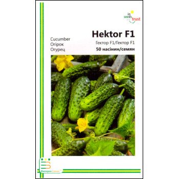 Огірок Гектор F1 /50 насінин/ *Імперія Насіння*