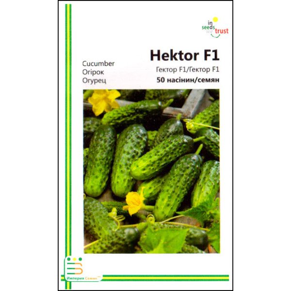 Насіння огірка Гектор F1 /50 насінин/ *Імперія Насіння*