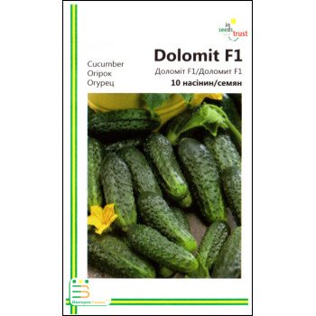 Огірок Доломіт F1 /10 насінин/ *Імперія Насіння*