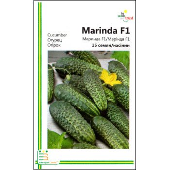 Огірок Марінда F1 /15 насінин/ *Імперія Насіння*