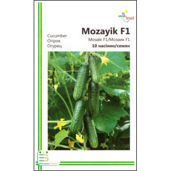 Огірок Мозаїк F1 /10 насінин/ *Імперія Насіння*