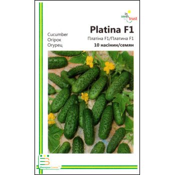 Огірок Платіна F1 /10 насінин/ *Імперія Насіння*