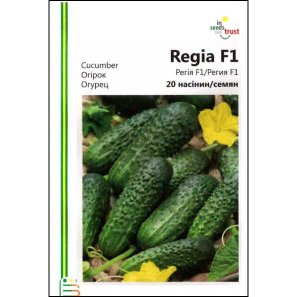 Насіння огірка Регія F1 /20 насінин/ *Імперія Насіння*