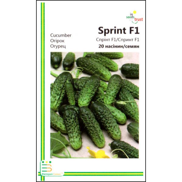 Насіння огірка Спринт F1 /20 насінин/ *Імперія Насіння*