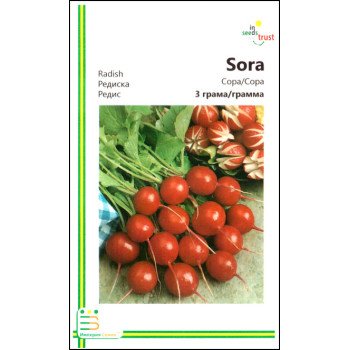 Редиска Сора /3 г/ *Імперія Насіння*