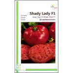 Томат Шеди леди F1 /10 семян/ *Империя Семян*