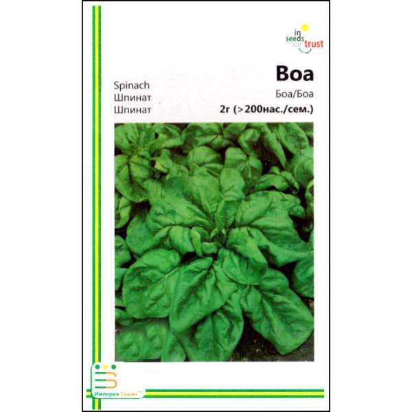 Семена шпината Боа /2 г/ *Империя Семян*