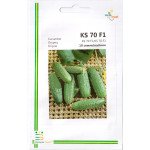 Огурец KS 70 F1 /10 семян/ *Империя Семян*