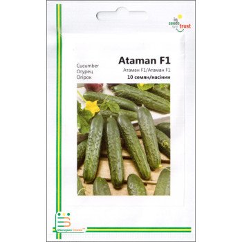 Огурец Атаман F1 /10 семян/ *Империя Семян*