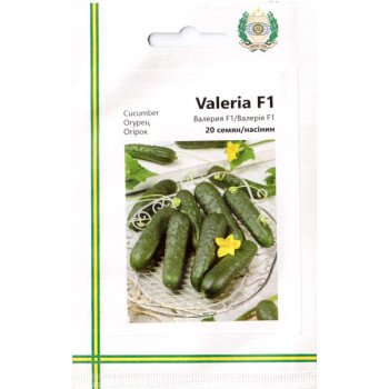 Огірок Валерія F1 /10 насінин/ *Імперія Насіння*