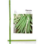 Фасоль Рипоста /30 г/ *Империя Семян*