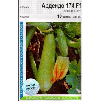 Кабачок Ардендо F1 /10 насінин/ *АгроПак*