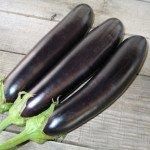 Баклажан Самурай F1 /1.000 семян/ *Kitano Seeds*