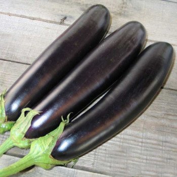 Баклажан Самурай F1 /1.000 семян/ *Kitano Seeds*