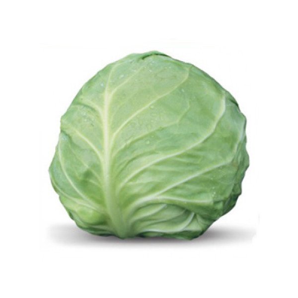 Семена капусты белокочанной KS 412 F1 /1.000 семян/ *Kitano Seeds*