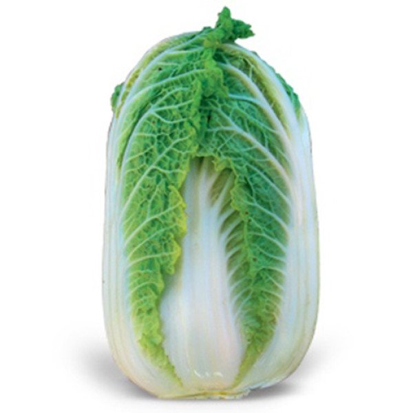 Семена капусты пекинской Зена F1 /2.500 семян/ *Kitano Seeds*