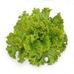 Салат KS 129 F1 /5 г/ *Kitano Seeds*