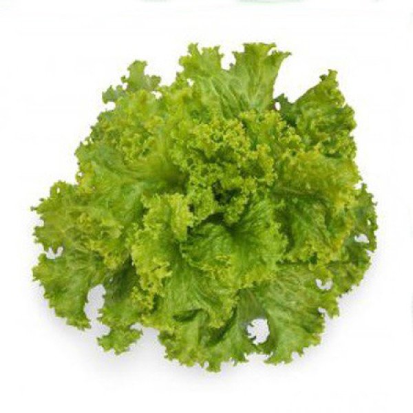 Семена салата KS 129 F1 /5 г/ *Kitano Seeds*