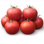 Томат Хайд (KS 835) F1 /1.000 семян/ *Kitano Seeds*