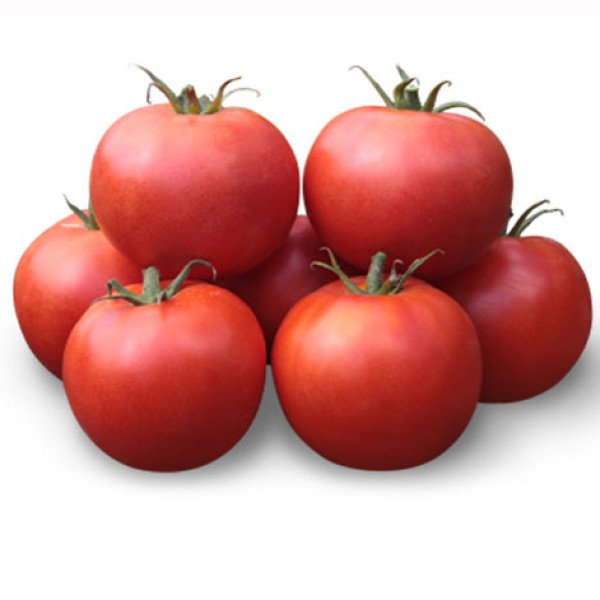 Насіння томату Хайд (KS 835) F1 /1.000 насінин/ *Kitano Seeds*