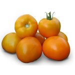 Томат Айсан (KS 18) F1 /1.000 семян/ *Kitano Seeds*