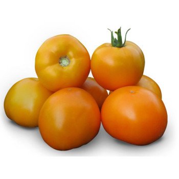 Томат Айсан (KS 18) F1 /1.000 семян/ *Kitano Seeds*