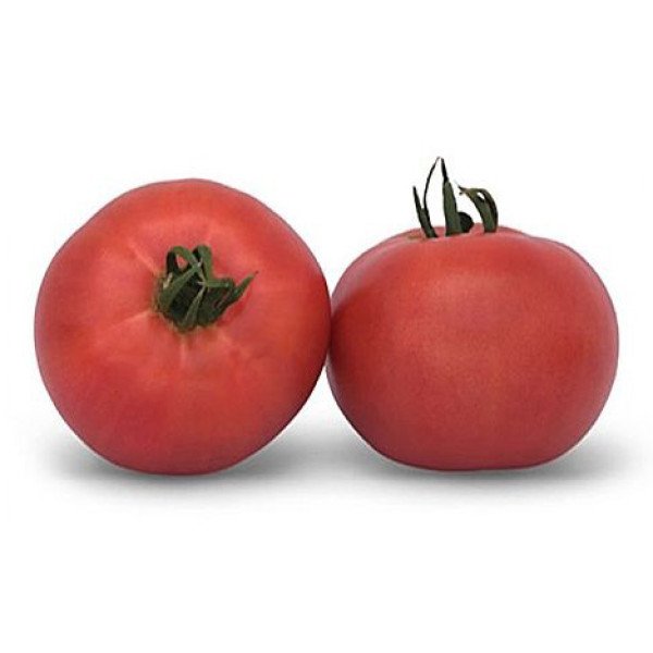 Семена томата KS 898 F1 /500 семян/ *Kitano Seeds*