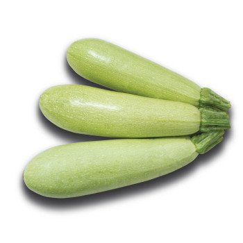 Кабачок KS 35 F1 /250 семян/ *Kitano Seeds*