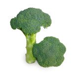 Капуста броколі KS 355 F1 /1.000 насінин/ *Kitano Seeds*