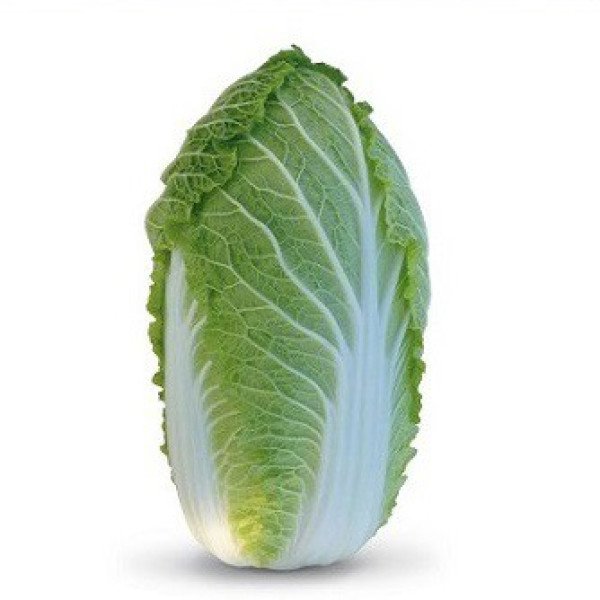 Насіння капусти пекінської Яморі (KS 340) F1 /2.500 насінин/ *Kitano Seeds*