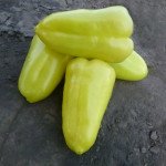 Перец сладкий Яника F1 /250 семян/ *Kitano Seeds*