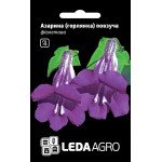 Азаріна (горлянка) повзуча фиолетова /4 шт/ *LedaAgro*