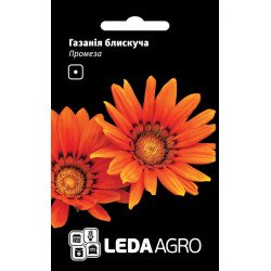 Газанія блискуча Промеза /5 шт/ *LedaAgro*